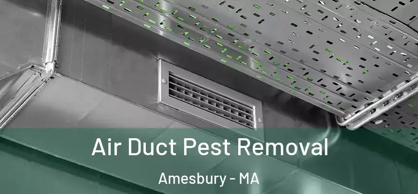  Air Duct Pest Removal Amesbury - MA