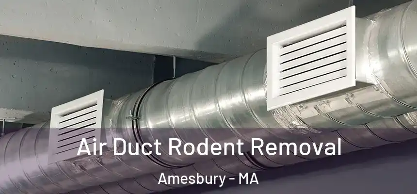  Air Duct Rodent Removal Amesbury - MA