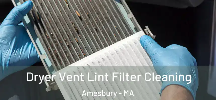 Dryer Vent Lint Filter Cleaning Amesbury - MA