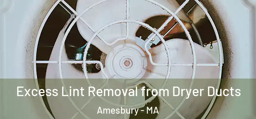  Excess Lint Removal from Dryer Ducts Amesbury - MA
