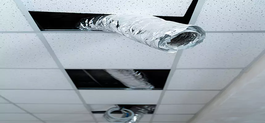 Affordable HVAC Sanitizing After Pest Removal in Amesbury