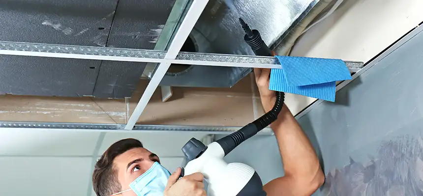 Our Air Duct Rodent Removal Services in Amesbury, MA