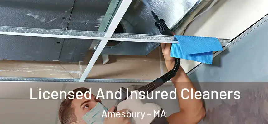  Licensed And Insured Cleaners Amesbury - MA