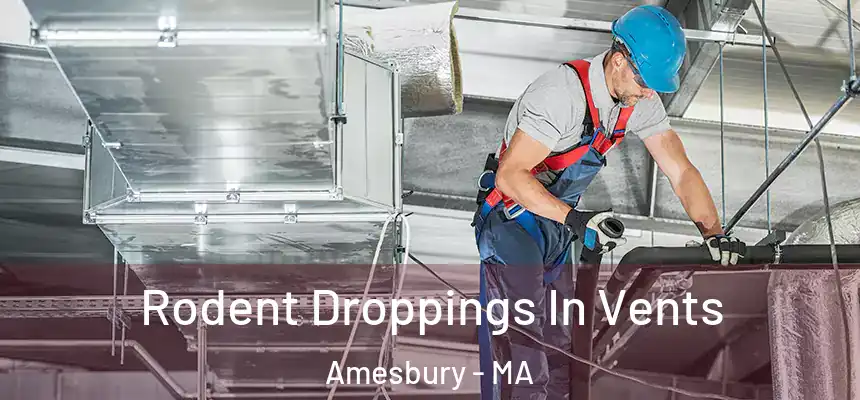 Rodent Droppings In Vents Amesbury - MA