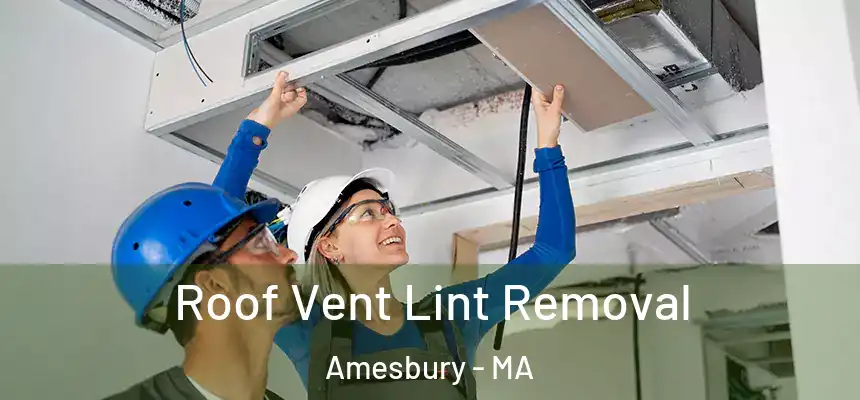  Roof Vent Lint Removal Amesbury - MA