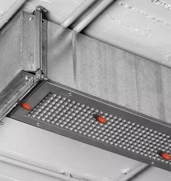 About Air Duct Cockroach Removal in Amesbury, MA