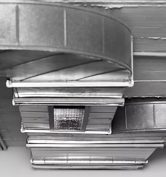 Professional Air Duct Pest Removal in Amesbury, MA