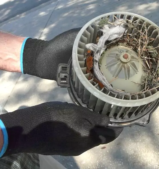 About Air Duct Rat Removal in Amesbury, MA