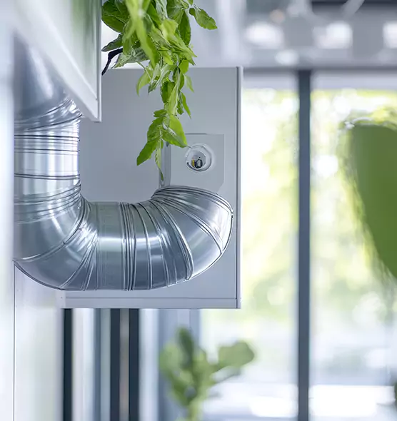 Professional Eco-Safe Dryer Vent Cleaning in Amesbury, MA