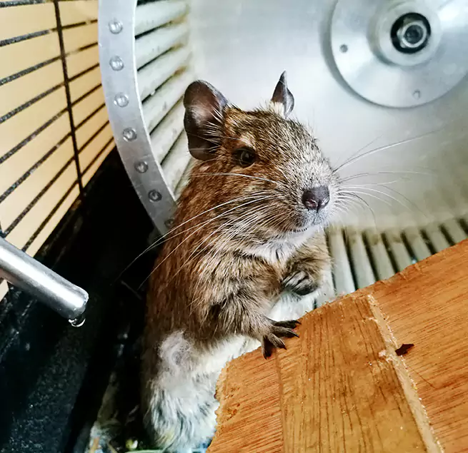 Why Homeowners & Businesses Trust Us Amesbury, MA?