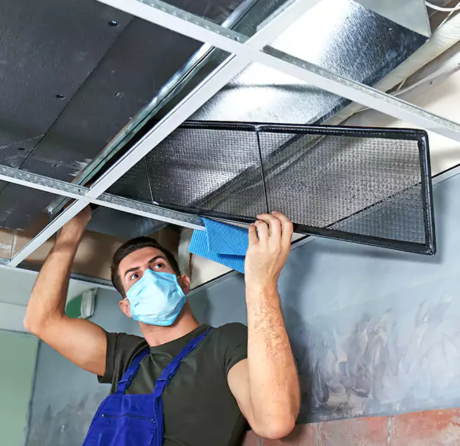 Why Homeowners Businesses Trust Us in Amesbury, MA