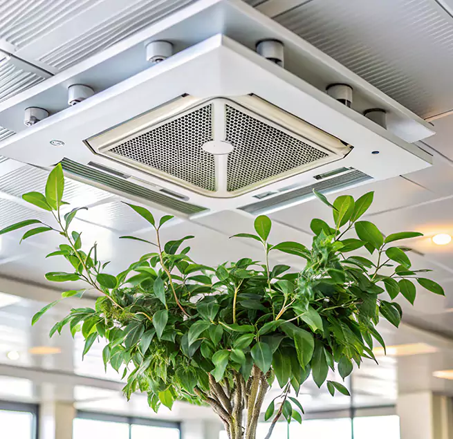 Why Homeowners & Businesses Trust Us in Amesbury, MA?